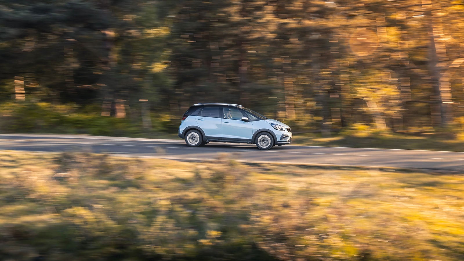 Honda Jazz in light blue, side driving shot in autumnal forest bathed in early evening sunshine